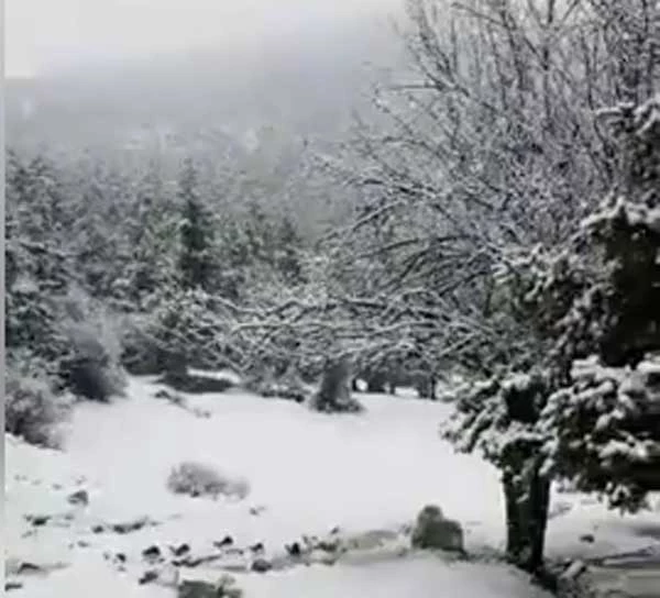 Χιονίζει από το πρωί στην Πάρνηθα (βίντεο)